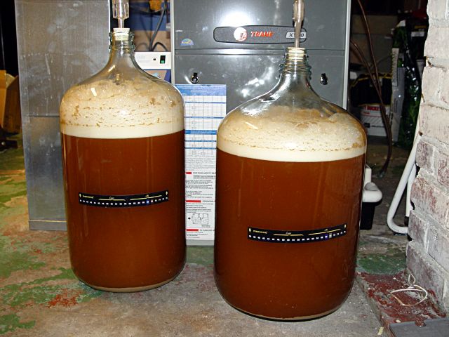 fermenter7