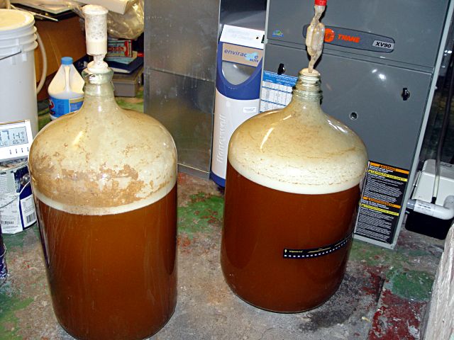 fermenter8