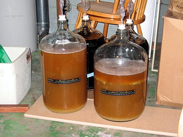 fermenter13