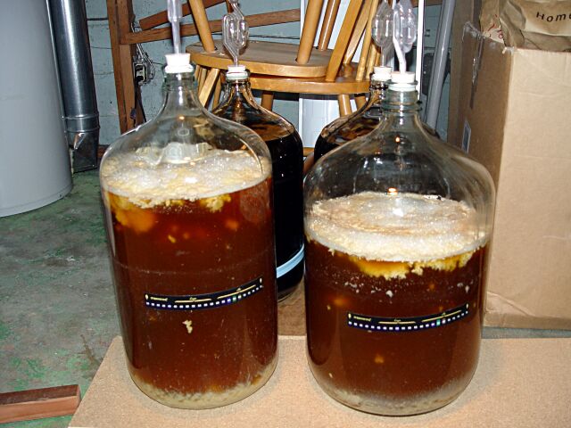 fermenter14