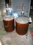 fermenter5