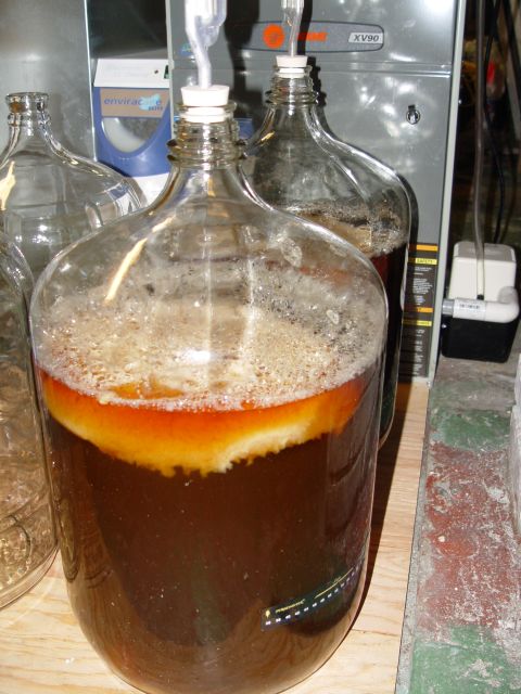 fermenter16