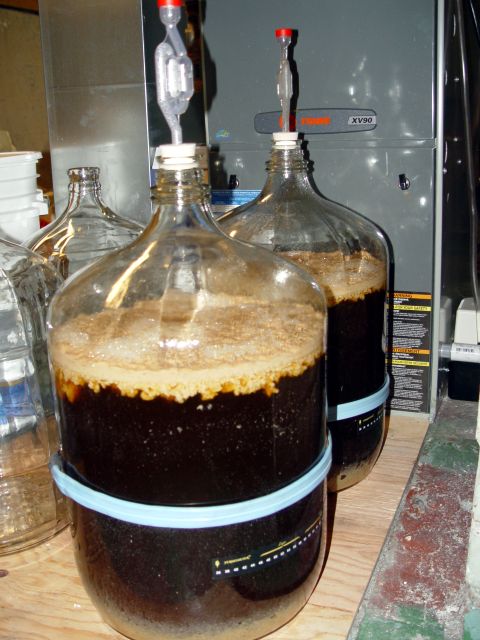 fermenter17