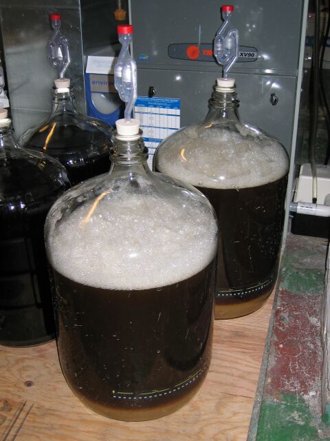 fermenter1