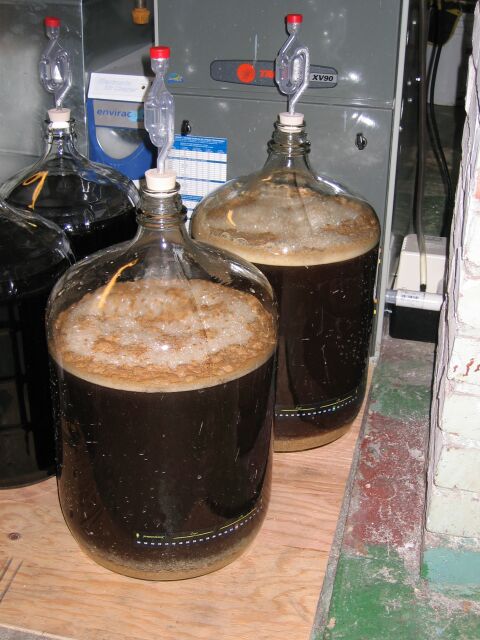 fermenter2