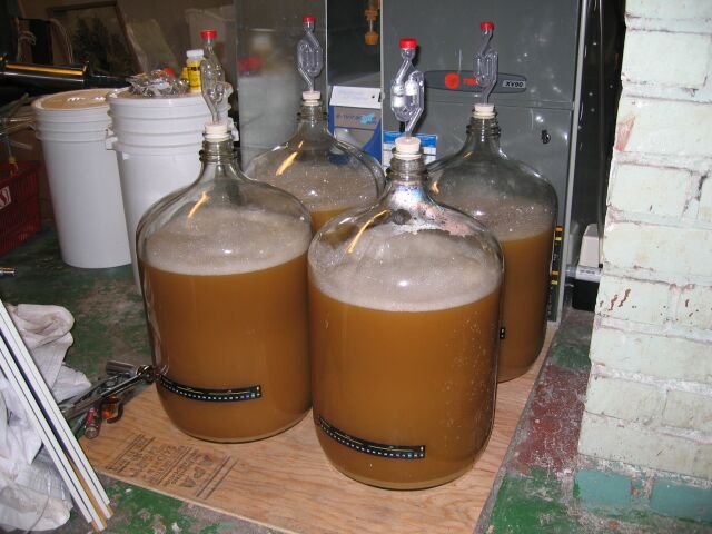 fermenter1