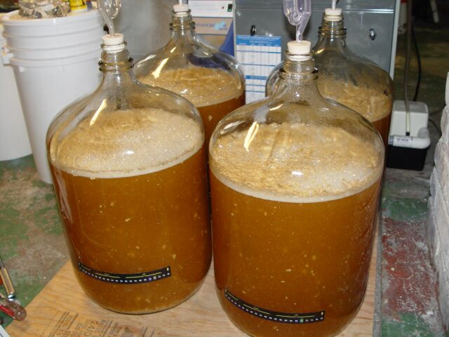 fermenter2