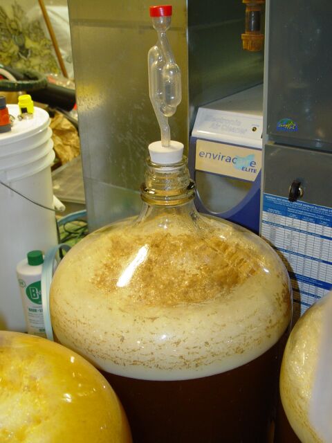 fermenter4