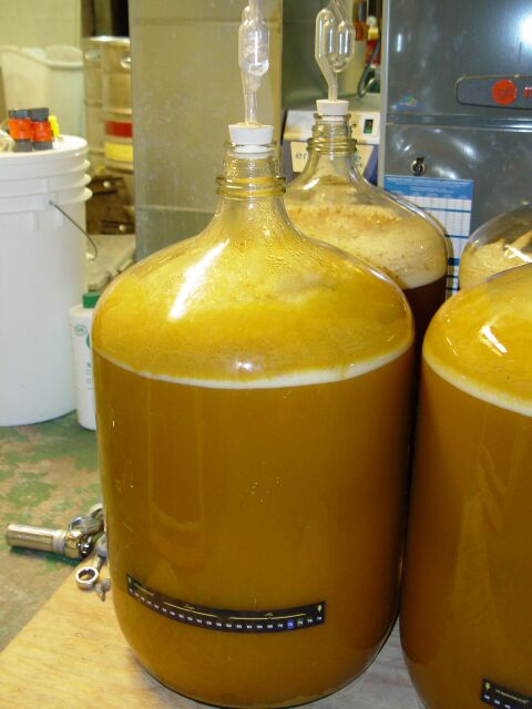 fermenter5