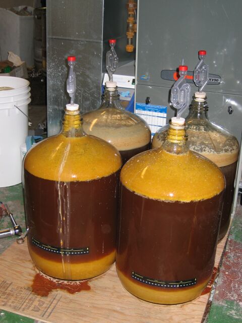 fermenter7