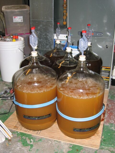 fermenter1