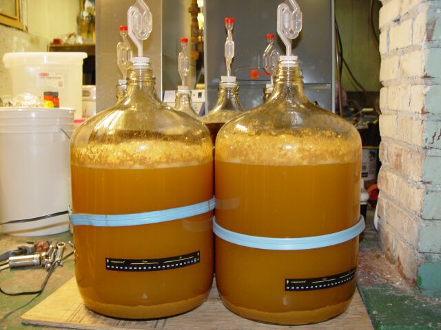 fermenter2