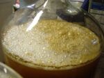 fermenter3