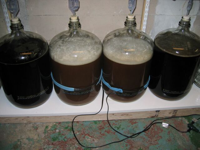 fermenter1