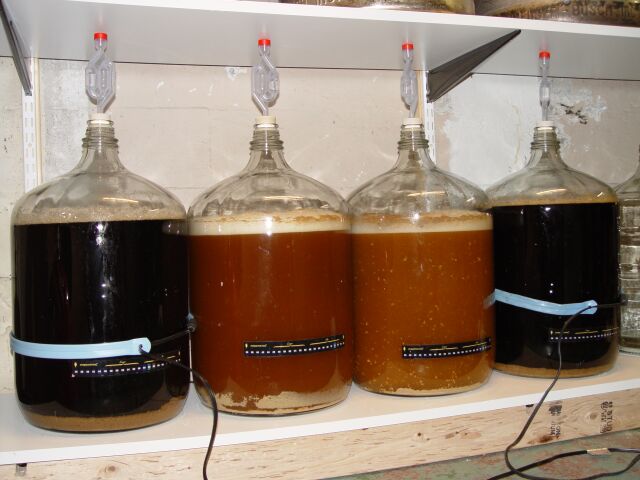 fermenter4