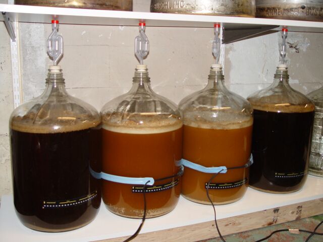 fermenter5