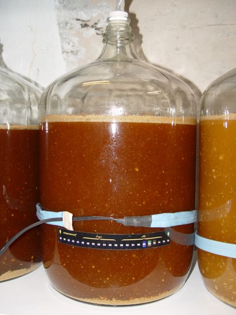 fermenter4