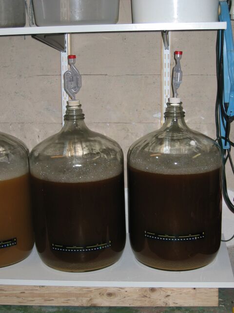 fermenter1