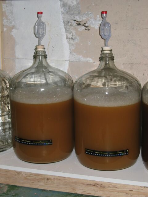 fermenter2