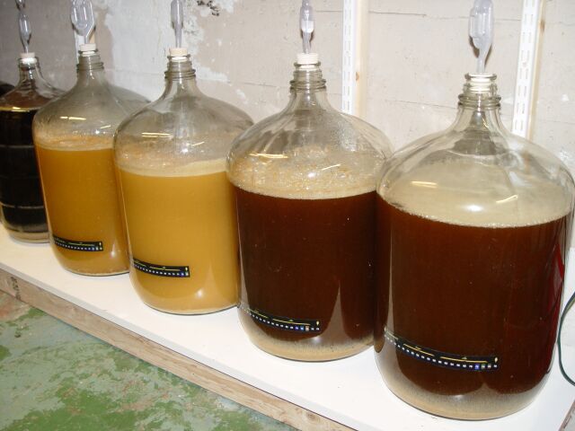 fermenter2