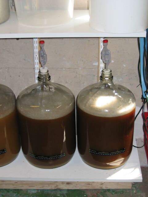 fermenter3