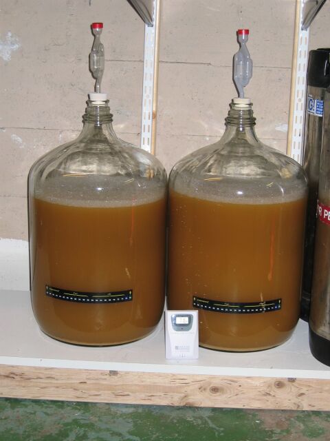 fermenter1