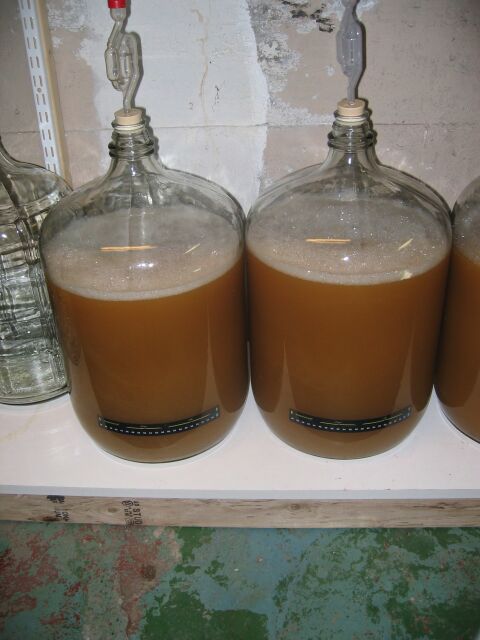 fermenter2