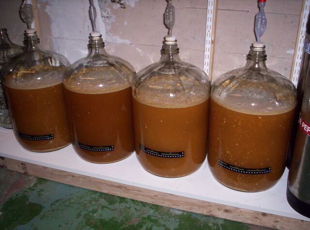 fermenter3