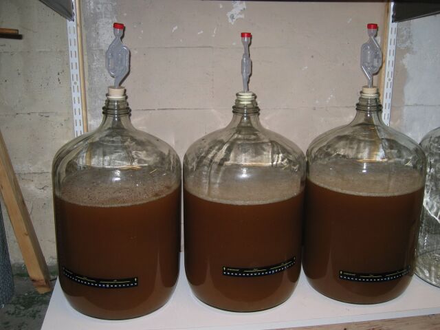 fermenter1