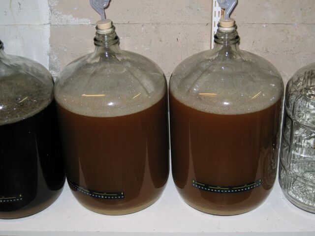 fermenter2