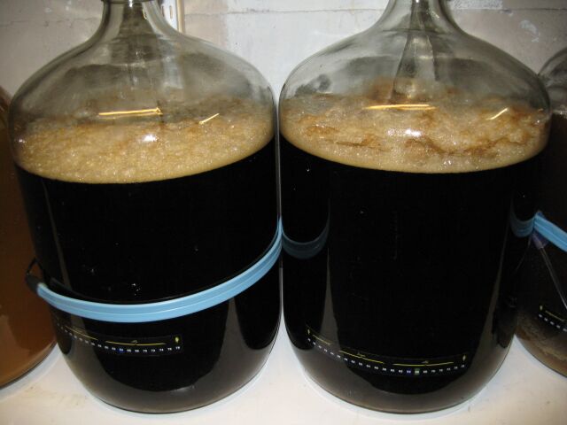 fermenter3