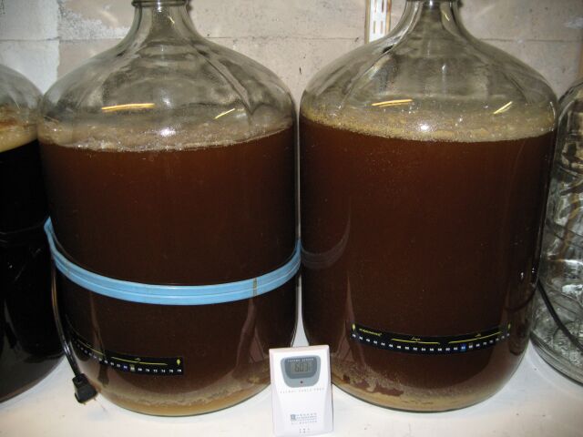 fermenter4