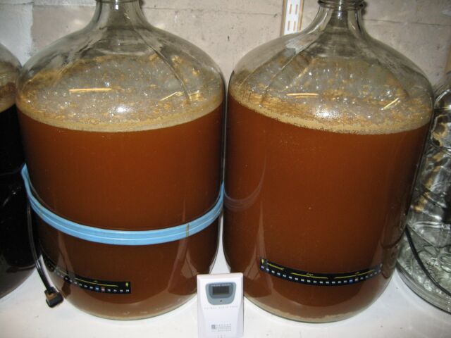 fermenter6