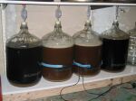 fermenter2