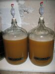 fermenter1