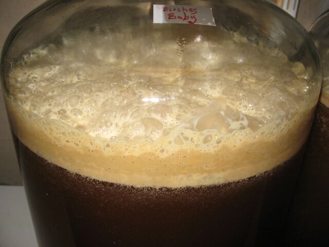 fermenter3