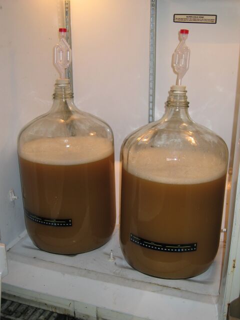 fermenter4