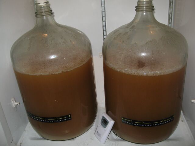 fermenter5